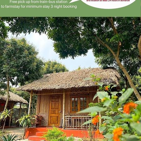 Ninh Binh Bamboo Farmstay Buitenkant foto