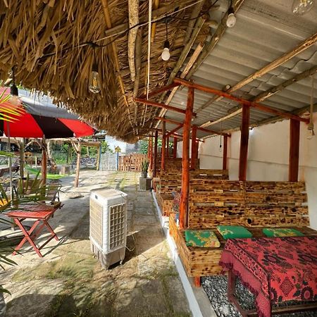 Ninh Binh Bamboo Farmstay Buitenkant foto