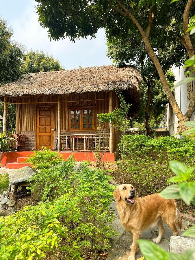 Ninh Binh Bamboo Farmstay Buitenkant foto