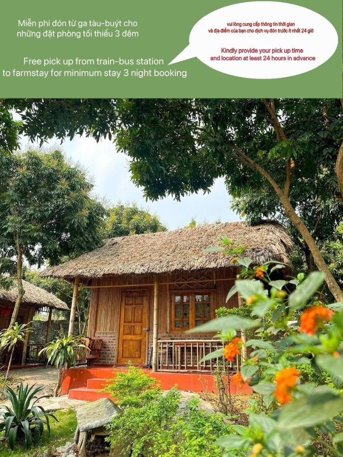 Ninh Binh Bamboo Farmstay Buitenkant foto